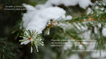 Radostné a klidné prožití vánočních svátků a do nového roku 2013 pevné zdraví, mnoho úspěchů a životního optimismu Vám přeje Ing. arch. Marie Ryšková